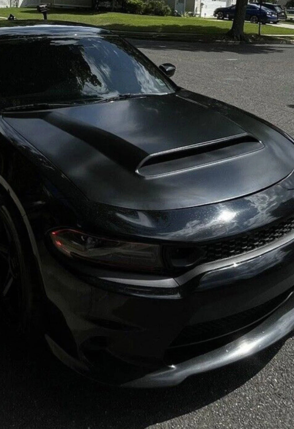 Charger Demon Style Hood