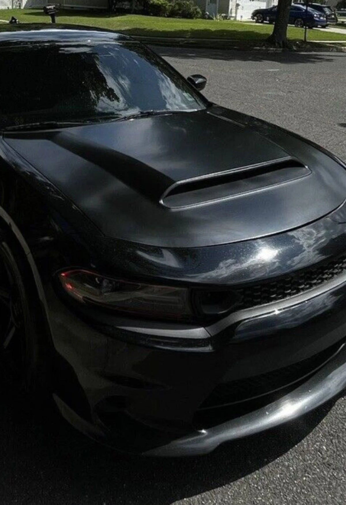 Charger Demon Style Hood